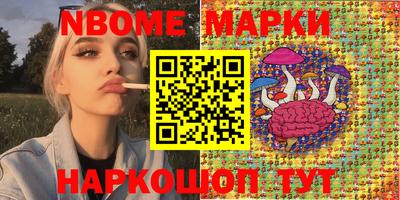 стаф Кандалакша