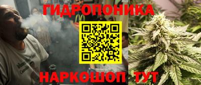 Альфа ПВП Канаш