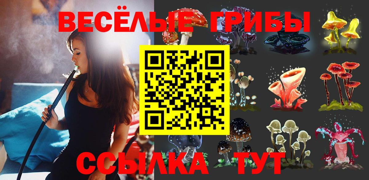 Краснодар  Псилоцибиновые грибы Psilocybe  Вход с VPN 